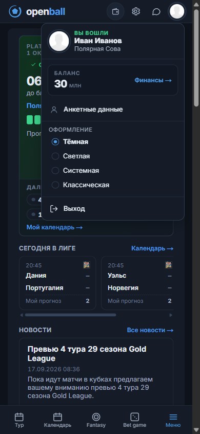 Выбор оформления на телефоне